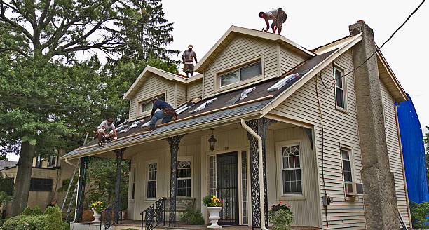 Best Flat Roof Repair Services  in Lmdale, PA